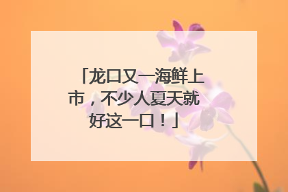 龙口又一海鲜上市，不少人夏天就好这一口！
