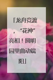 龙舟竞渡，“花神”亮相！圆明园里曲动端阳