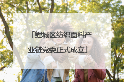 鲤城区纺织面料产业链党委正式成立