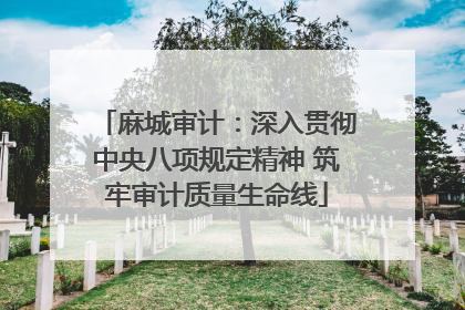 麻城审计：深入贯彻中央八项规定精神 筑牢审计质量生命线