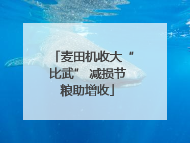 麦田机收大“比武” 减损节粮助增收