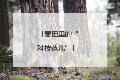 麦田里的“科技范儿”