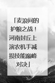 麦浪间的护粮之战！河南封丘上演农机手减损技能巅峰对决