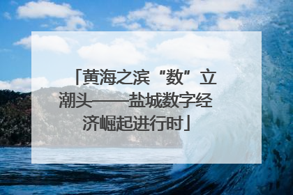 黄海之滨“数”立潮头——盐城数字经济崛起进行时