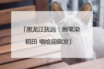 黑龙江抚远：画笔染稻田 墙绘迎旅发