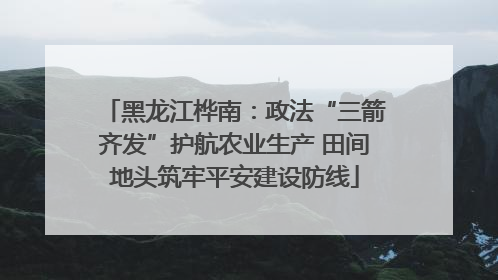 黑龙江桦南：政法“三箭齐发”护航农业生产 田间地头筑牢平安建设防线