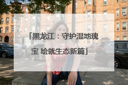 黑龙江：守护湿地瑰宝 绘就生态新篇