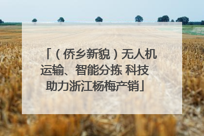 （侨乡新貌）无人机运输、智能分拣 科技助力浙江杨梅产销