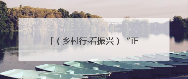 （乡村行·看振兴）“正北芪之乡”：千年草本焕活力 药材生“金”富农家