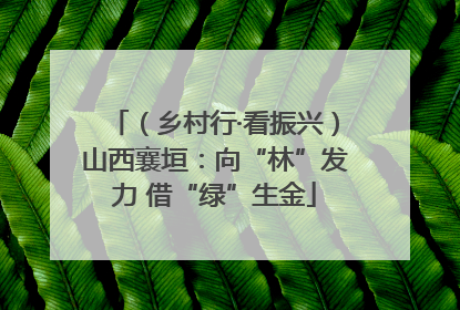 （乡村行·看振兴）山西襄垣：向“林”发力 借“绿”生金