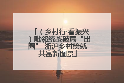 （乡村行·看振兴）毗邻统战破局“出圈” 浙沪乡村绘就共富新图景