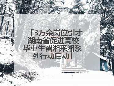3万余岗位引才 湖南省促进高校毕业生留湘来湘系列行动启动