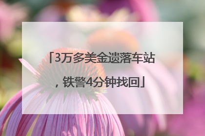 3万多美金遗落车站，铁警4分钟找回