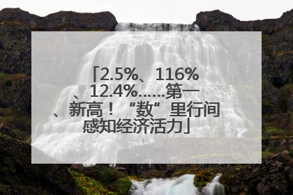 2.5%、116%、12.4%……第一、新高！“数”里行间感知经济活力