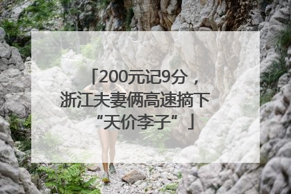 200元记9分，浙江夫妻俩高速摘下“天价李子”