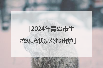 2024年青岛市生态环境状况公报出炉
