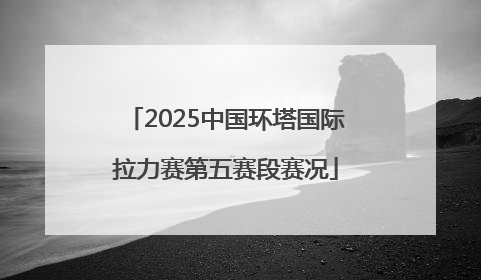 2025中国环塔国际拉力赛第五赛段赛况