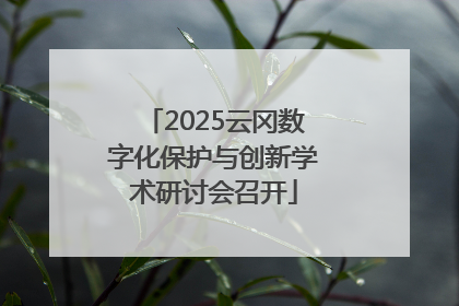 2025云冈数字化保护与创新学术研讨会召开