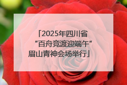 2025年四川省“百舟竞渡迎端午”眉山青神会场举行