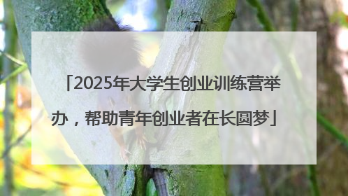 2025年大学生创业训练营举办，帮助青年创业者在长圆梦