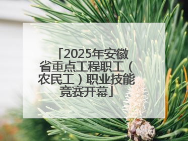 2025年安徽省重点工程职工（农民工）职业技能竞赛开幕