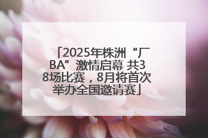 2025年株洲“厂BA”激情启幕 共38场比赛，8月将首次举办全国邀请赛