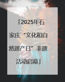 2025年石家庄“文化和自然遗产日”非遗活动启幕