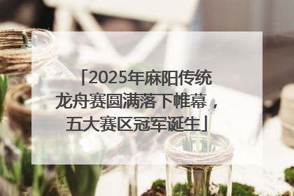 2025年麻阳传统龙舟赛圆满落下帷幕，五大赛区冠军诞生