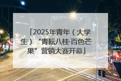 2025年青年（大学生）“青耘八桂·百色芒果”营销大赛开幕