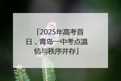 2025年高考首日，青岛一中考点温情与秩序并存
