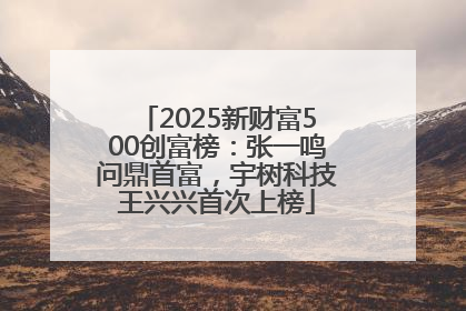 2025新财富500创富榜：张一鸣问鼎首富，宇树科技王兴兴首次上榜