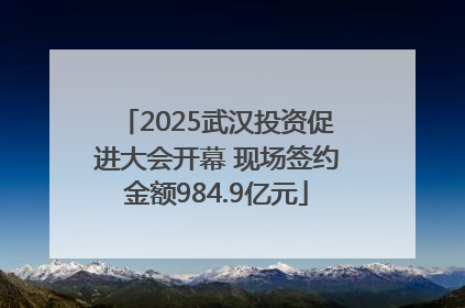 2025武汉投资促进大会开幕 现场签约金额984.9亿元