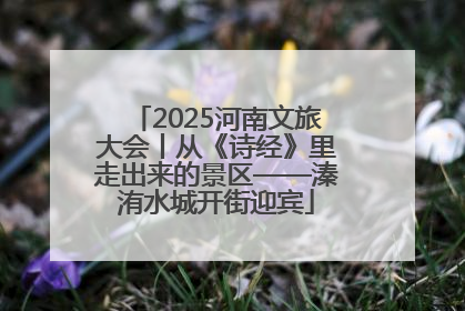 2025河南文旅大会丨从《诗经》里走出来的景区——溱洧水城开街迎宾