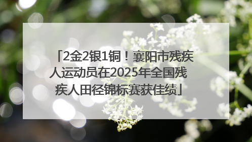 2金2银1铜！襄阳市残疾人运动员在2025年全国残疾人田径锦标赛获佳绩