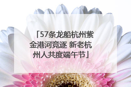 57条龙船杭州紫金港河竞逐 新老杭州人共度端午节