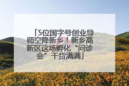 5位国字号创业导师空降新乡！新乡高新区这场孵化“问诊会”干货满满