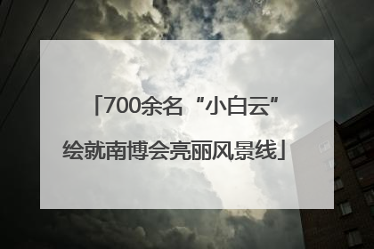 700余名“小白云”绘就南博会亮丽风景线