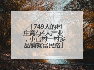 749人的村庄竟有4大产业，小官村一村多品铺就富民路