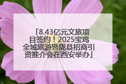 8.43亿元文旅项目签约！2025宝鸡全域旅游暨陇县招商引资推介会在西安举办