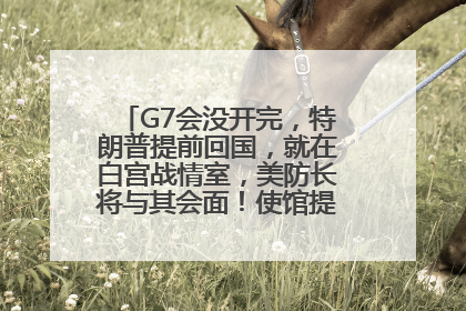 G7会没开完，特朗普提前回国，就在白宫战情室，美防长将与其会面！使馆提醒：在以中国公民尽快陆路离境！国际油价金价继续上涨