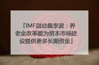 IMF副总裁李波：养老金改革能为资本市场建设提供更多长期资金